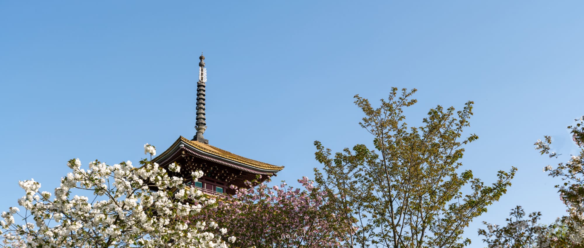 塔
