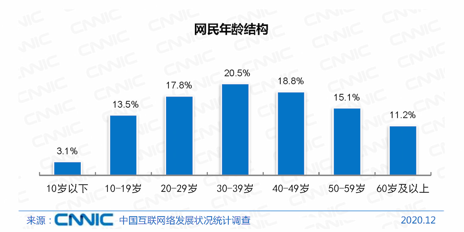 2020 年网民年龄结构(来源:《第 47 次中国互联网络发展状况统计报告》)