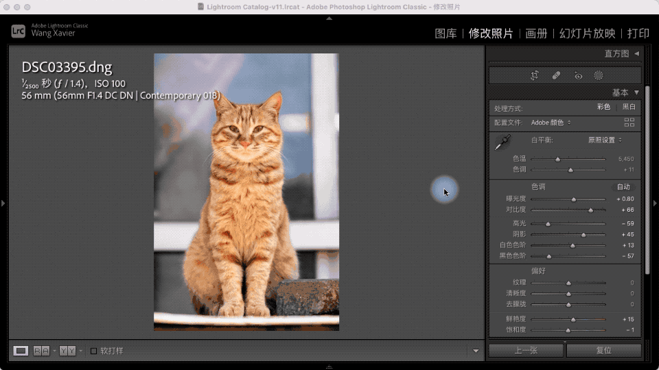 Lightroom:选择主体测试-宠物