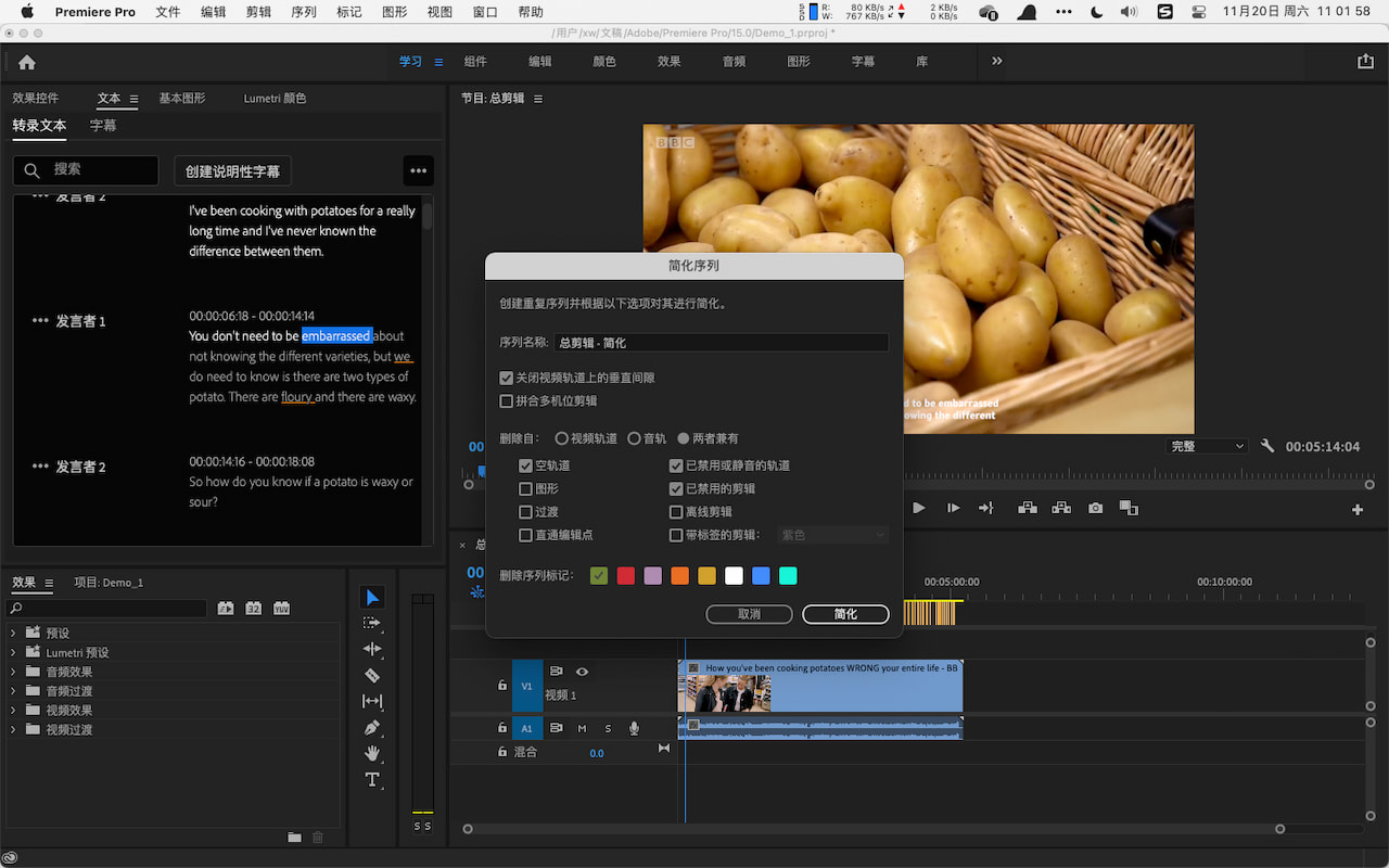 Premiere Pro:简化序列