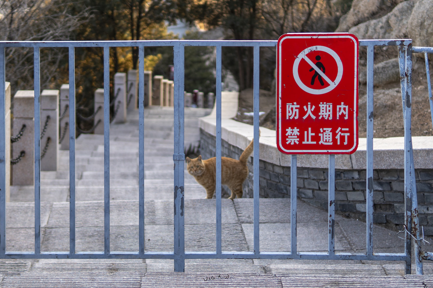 快跟上啊,喵~